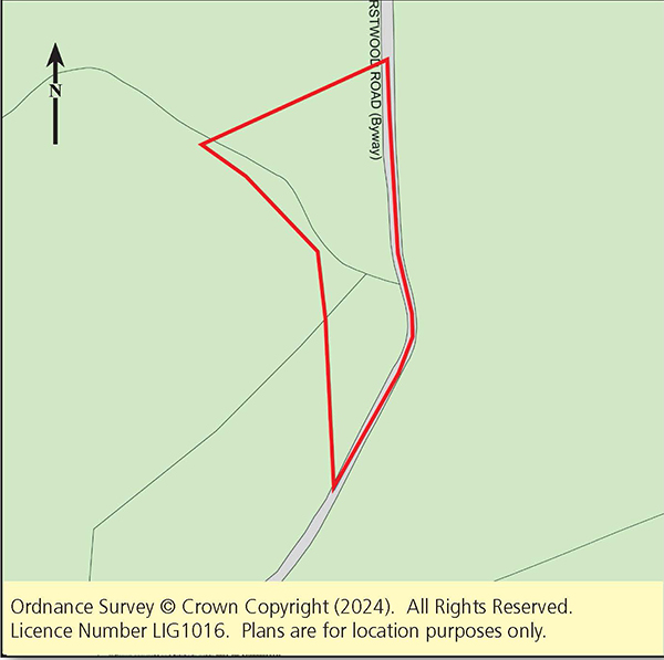 Lot: 122 - FREEHOLD PLOT OF WOODLAND -